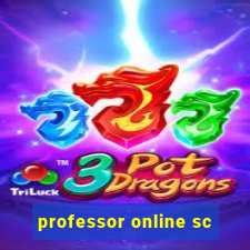 professor online sc